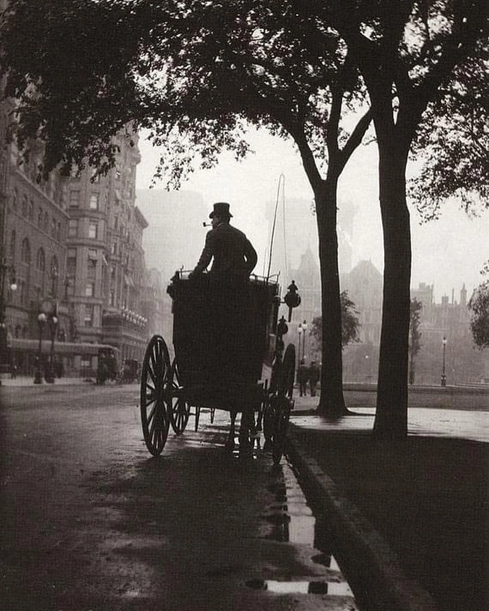 A hansom cab under the trees on a wet evening street