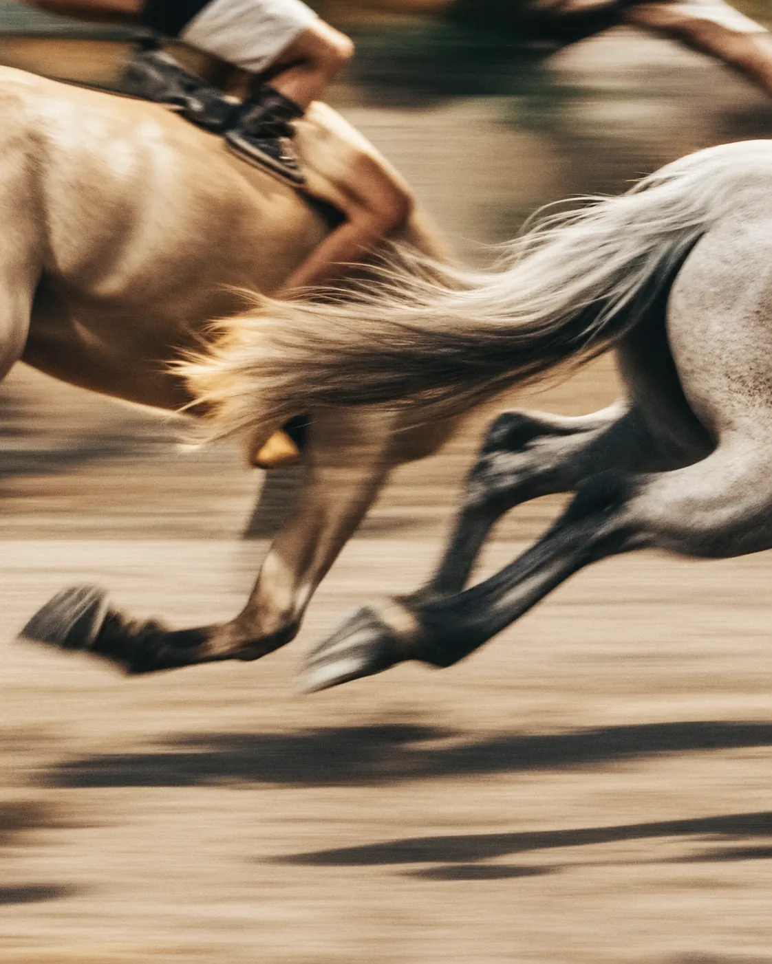 Hooves at the gallop, blurred with speed
